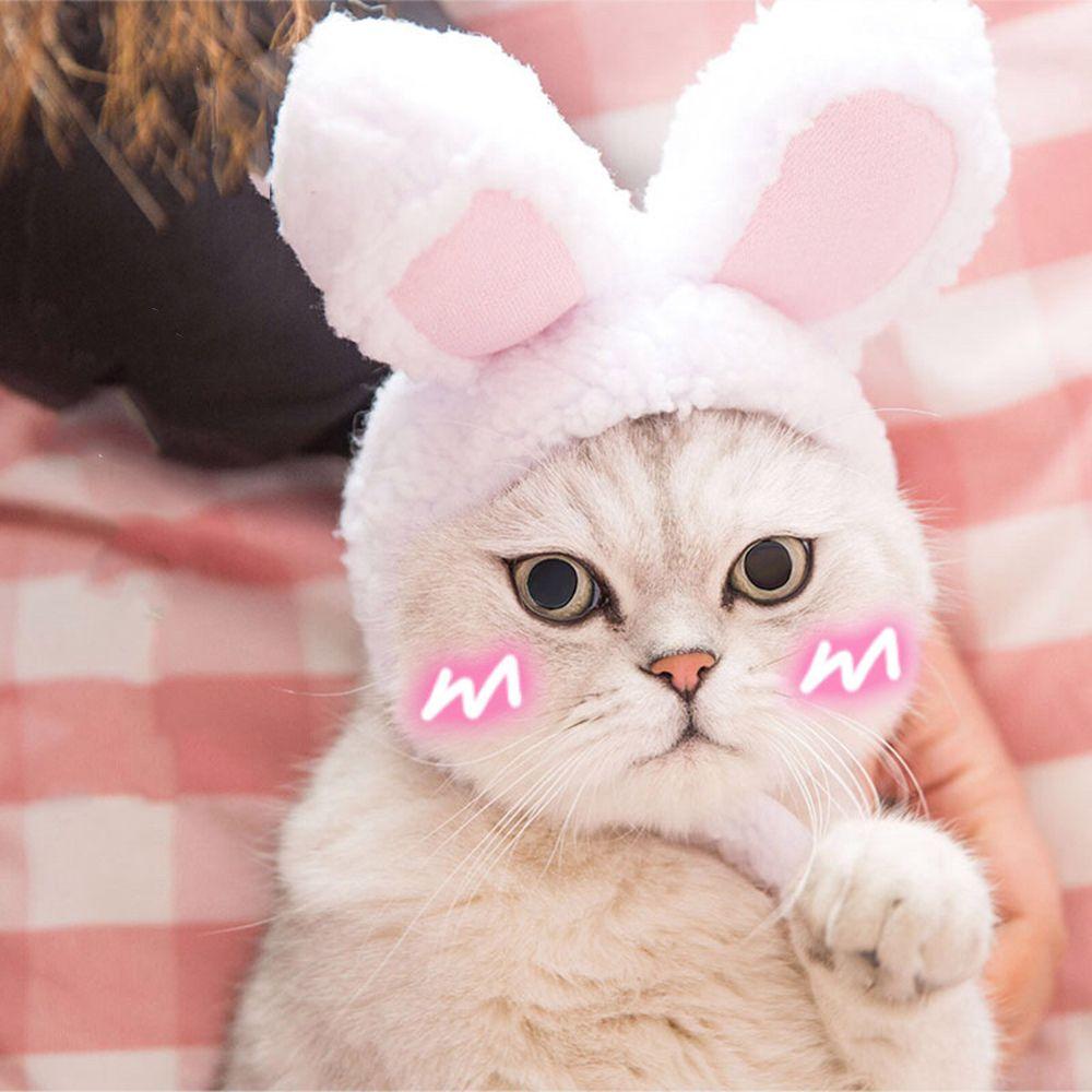 Party With Ears Cosplay Cat Headwear Pet Accessory Rabbit Hat Cat Costume