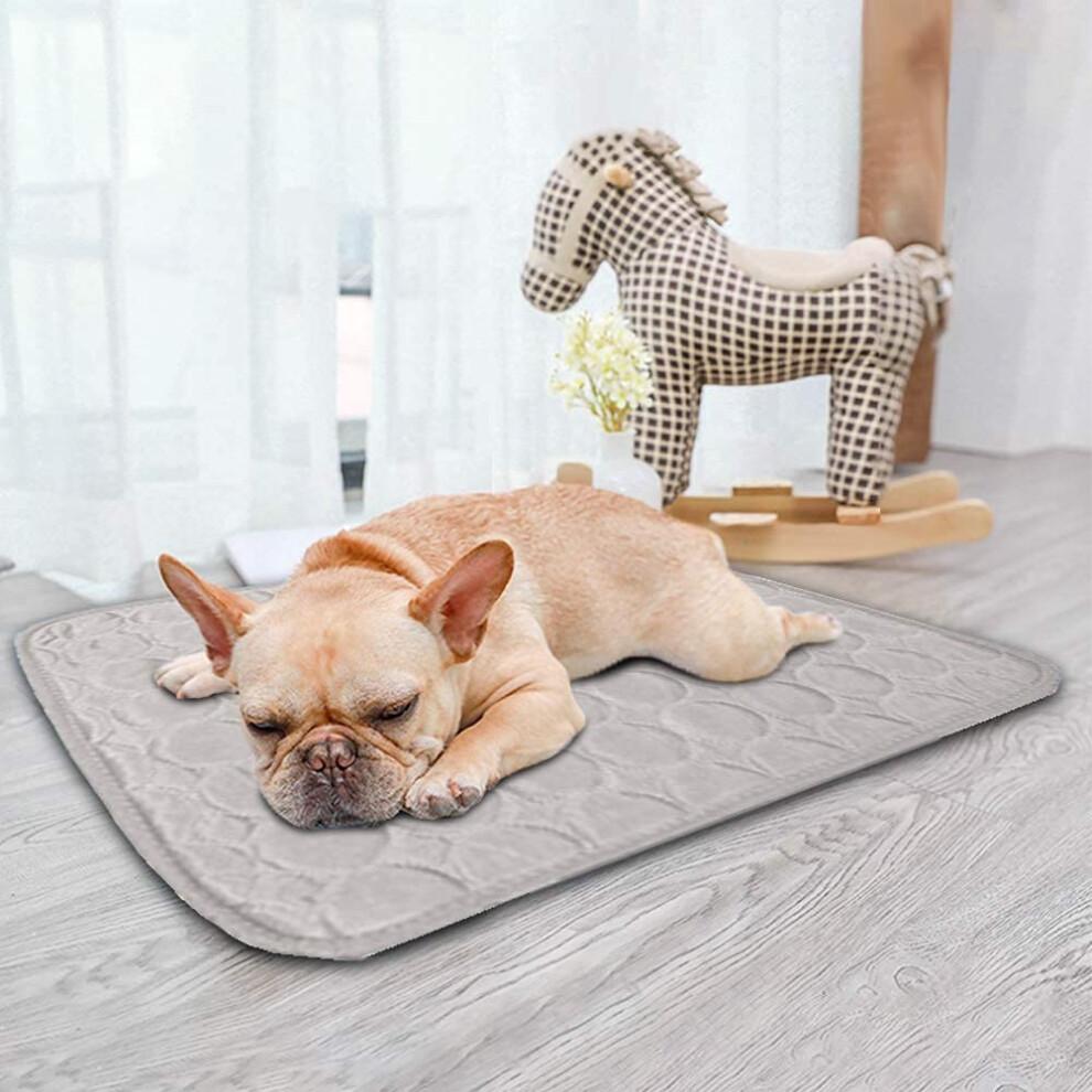 Cooling Mat Pet Cooling Mat Cooling Blanket 70 X 55 Cm Washable for Home