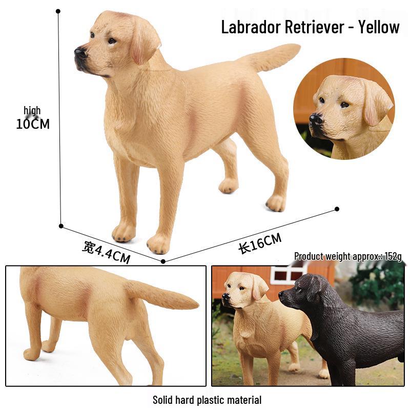 Cute Dog Model Toy: Corgi, Shiba Inu, Labrador - Children's Cognitive Ornament