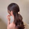 Romantic Frangipani Hair Clips with Printed Hairpins and Flower Hairpins for The Back of The Head