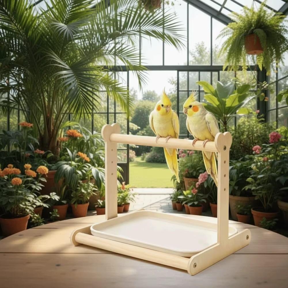 Non-slip Parrot Potty Training Platform Anti-Splash Design Bird Stand Creative Parrot Stand