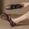 Fashion Women's Chunky Heel Mary Jane Shoes Soft Sole Low Heel Non-Slip Comfortable Leather Casual Shoes Autumn Winter New