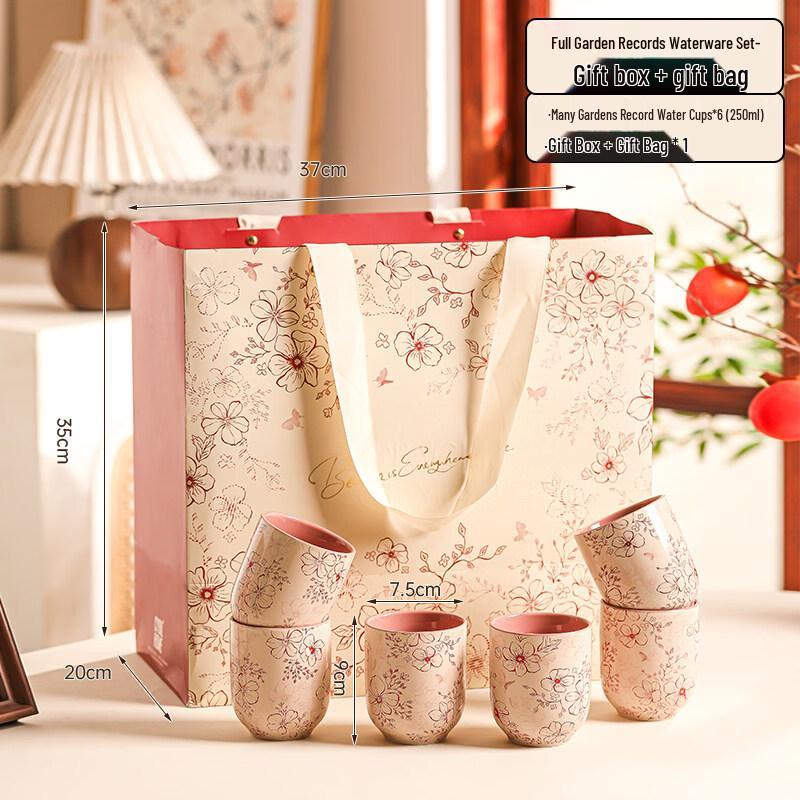 

6-Piece Household Tea Cup Set