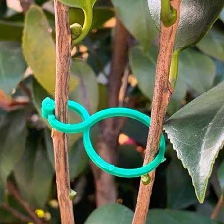 Climbing Plant Clips Reusable Garden Support Durable Plastic Ties for Vine Tomato Cucumber Indoor Outdoor Plant Organizer
