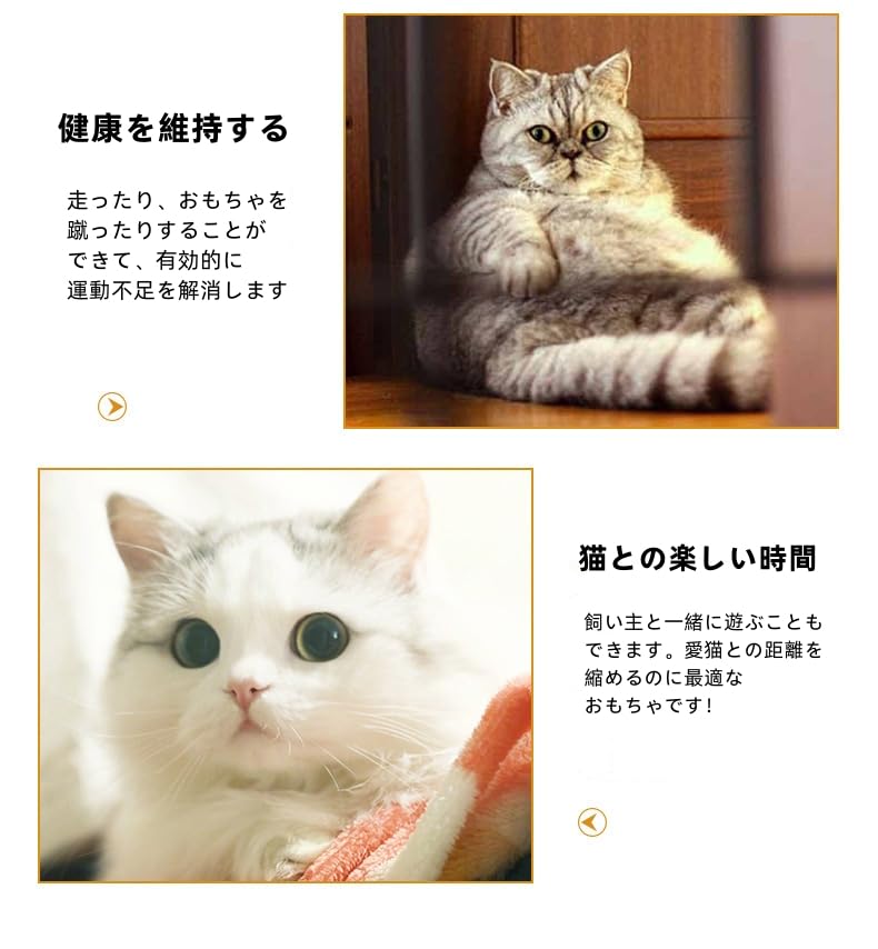 Cat Fish Cat Kick Body Stuffed Obesity Stress Nail Teeth 2 Piece Cat Supplies Toy, Shape, Toy, Fish, Toy, Pillow, Animal, Taiyaki, Play, Relief,