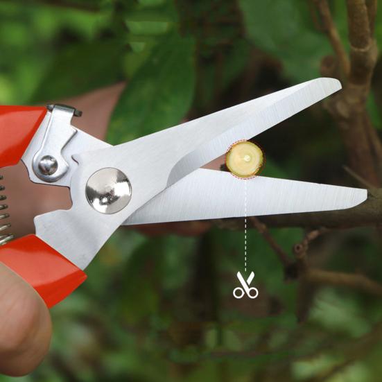 Forbici da Giardinaggio Impugnatura Antiscivolo Raccolta Frutta Acciaio Inossidabile Potatore Ramo Fiore Bonsai Attrezzo da Giardino Forniture da Giardino