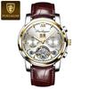 POEDAGAR Automatic Mechanical Watch Men Tourbillon Skeleton Wristwatch Calendar Week Display Leather Strap