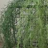 Elegant Artificial Boston Fern Vines Plastic Fake Greenery Plastic  Wedding Decor