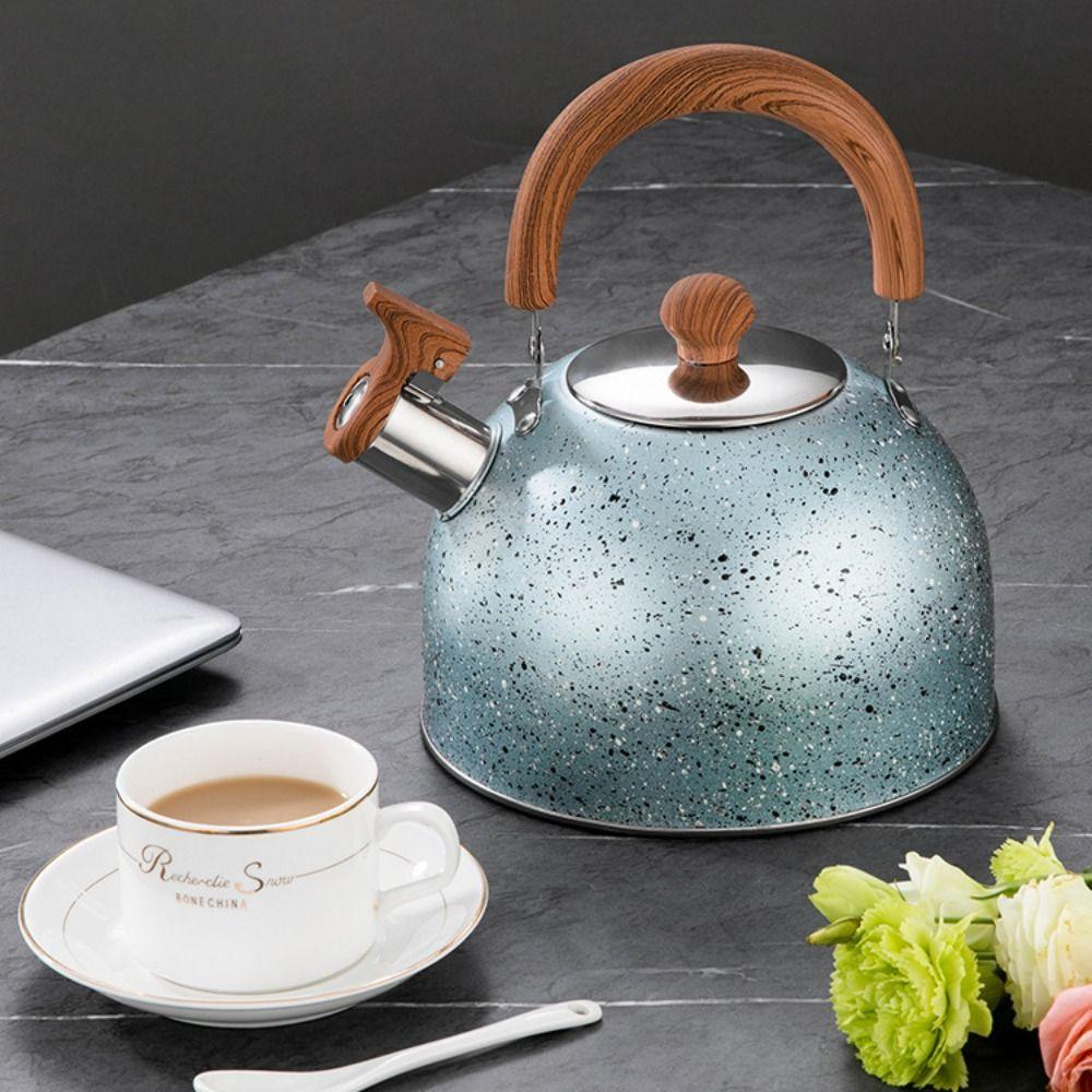 Flat Bottom Star Point Whistle Kettle 2/3L Teapot Durable Stove Water Kettle  Induction Cooker