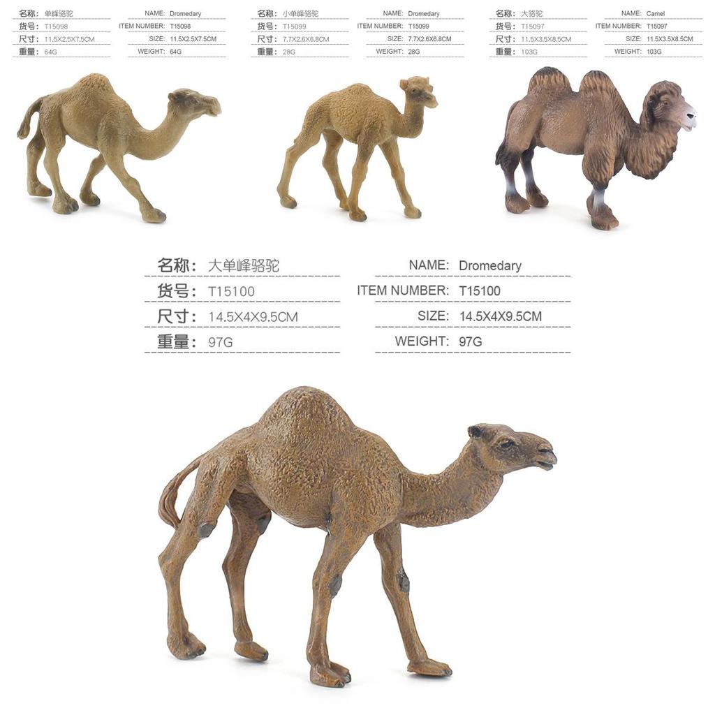 Wildlife Pvc Model Collection With Realistic Desert Camels For Classroom Decor