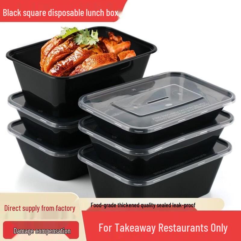 ZISIZ Disposable Rectangular PP Lunch Box with Lid