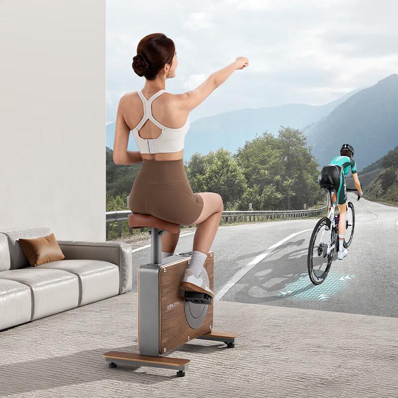 MERACH Shadow Exercise Bike CN plug (adapter included)