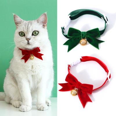Kedi – Kedi Boyunluk ve Tasmaları