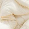 Mercury Home Textiles DH Corn Soft All-Season Duvet