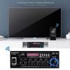 SUNBUCK AV-660BT BT5.0 Sound Amplifier Home Car Theater Audio Amplifier 110V/220V Support EQ FM SD USB 2 Mic AK370 12V Amp