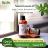 Peppermint Essential Oil: Refreshing, Invigorating, Mosquito Repellent, Aromatherapeutic, Hydrating Skincare Essence.