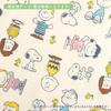Nishikawa Snoopy Napping Mattress Pad 70x120cm Mesh Design Breathable Suitable for Napping and Visiting with Name Tag for Writing Your Ivory