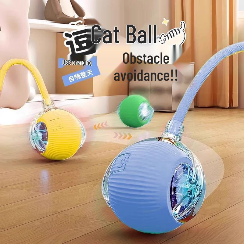 Automatic Dog Walking & Bite Resistant Toy Ball for Pet Exercise & Entertainment