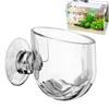 Klarer Wasserpflanzenbecher mit Saugnapfhalter Glaspflanzenbecher Topf Vase Rote Mückenlarven Futterspender für Fischbehälter Aquarium Aquascaping Dekoration