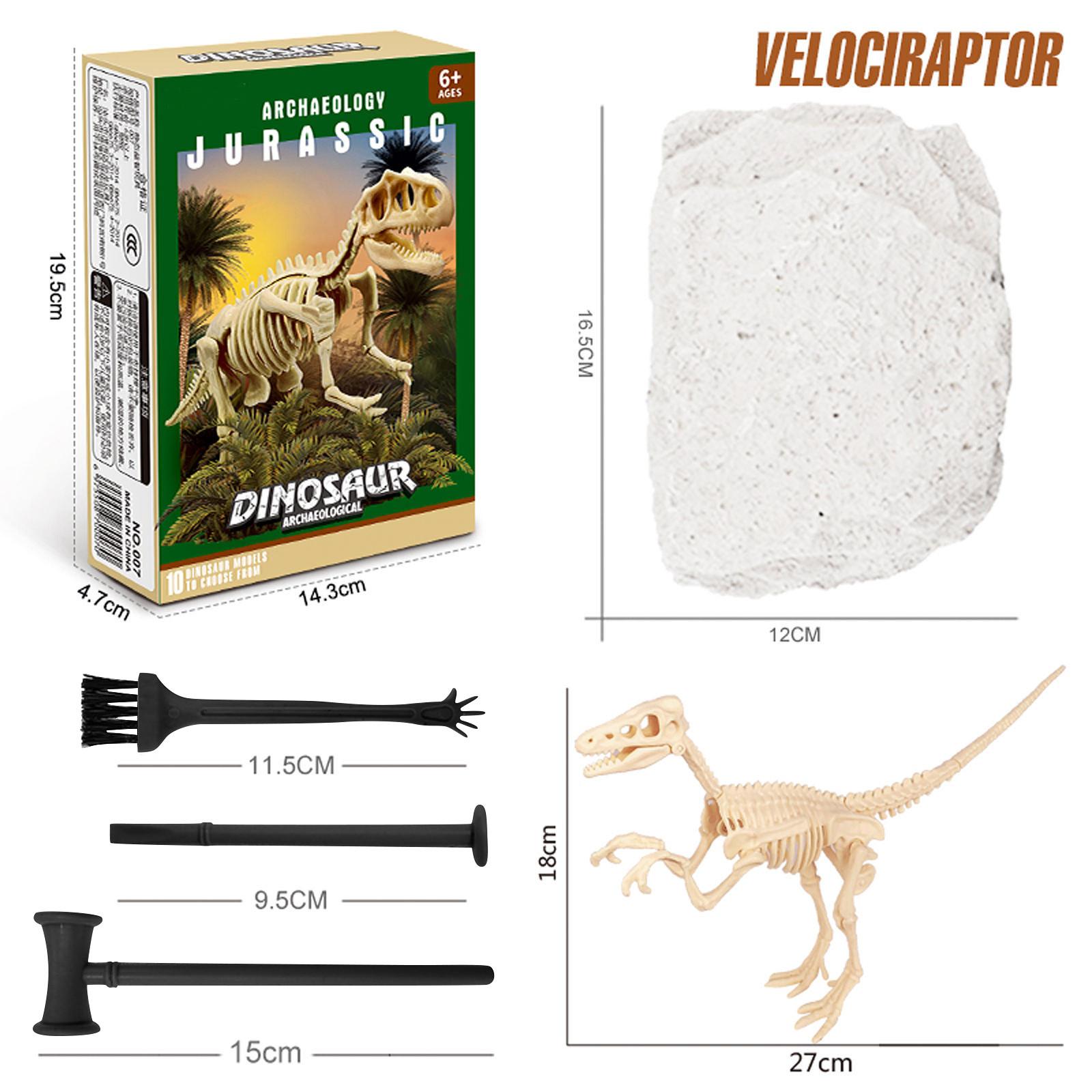 Набор для раскопок динозавров. Моделирование археологии. Раскапывание окаменелостей. Дети учатся. One Size