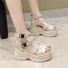 10CM Women Thick Bottom Gladiator Shoes Woman Summer Chunky Sneakers High Platform Sandals Hollow Out Wedge Heels Beach Boots