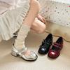 Thick Heel Soft Sole Not Tired Feet with Skirt Shallow Mouth Single Shoes Women's Summer New Casual Fashion Height Mary Jane