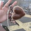 Bow Beaded Leather Love Keychain Y2k Korean Charm Rope Keyring Plush Heart Bag Pendant  Decoration