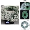 Wholesale 2023 New Christmas Wreath With Snowy Pvc Vine For Decoration In Shopping Mall And Window Display Small Medium And Large Sizes