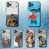 Cute Funny Monkeys Symbol  Phone Case For iPhone 17,16,15,14,13,12,11,Pro,Max,Plus,E,Air,Mini Protective Black Cover