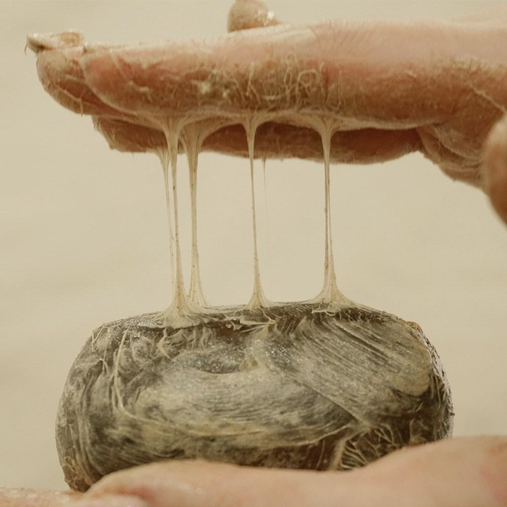 1000binusoap Jeongango Natural Ingredients 2 Type Basic Care Set (Jeongango + Essence)