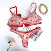French Ultra Thin Women Underwear Set Sexy Flocking Push Up Bra Summer Ladies 6 Color Mesh Breathable Lingerie and Thong Sets