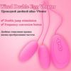 Leistungsstarke Vibratoren Double Egg Bullet Klitorisstimulator mit mehreren Geschwindigkeiten und Fernbedienung