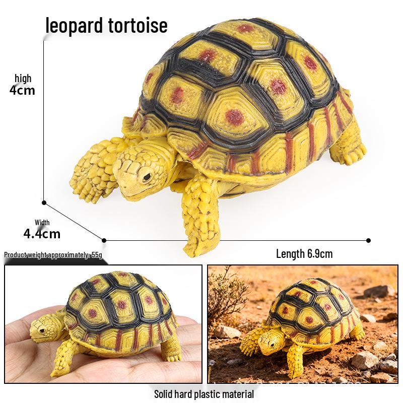 Wildtier Schildkröte Lernmodell für den Kindergarten (Sulcata, Rotfußschildkröten, Keks-Schildkröten)