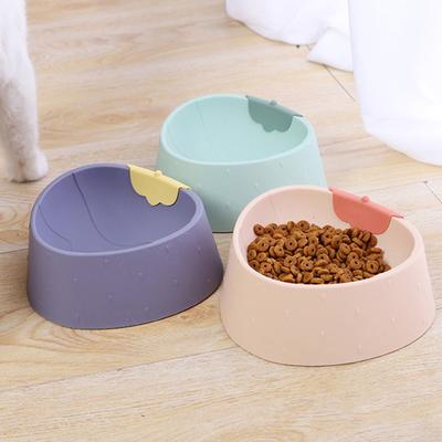 Cani – Distributori di cibo e acqua per gatti