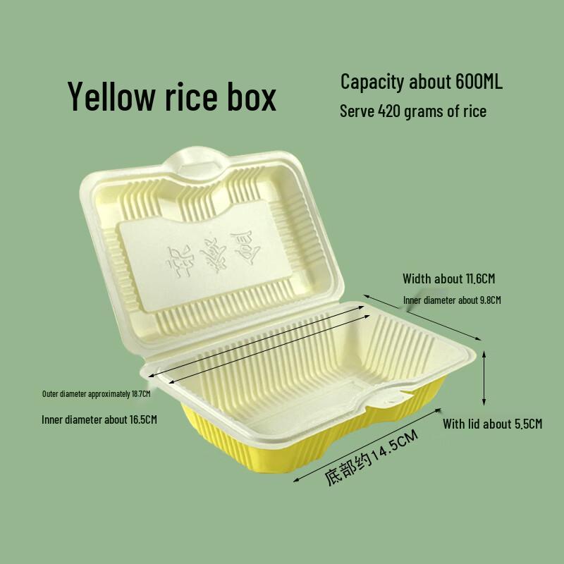 Disposable Takeout Food Container