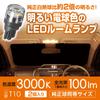 Carmate GIGA T10 LED Interior Lamp, 3000K, 100lm, Bright Warm White, Pack of 2, BW250