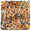 Variety 50PCS Cartoon Butterfly Sticker Pack Waterproof Transparent PET Decorative Guitar Notebook Stationery Stickers