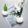 Flower Artificial Plant Succulent Potted Fridge Magnets Board Stickers Note Holder Message Sticker