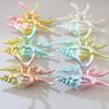 1Pcs Hair Claw Elegant Shark Clip Creative Conch Hairpin Colorful Gift For Summer Beach Headwear Hair Accessories
