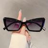 Fashion Cat Eye Women's Sunglasses Oversize Decoration Gradient Shades Outdoor Design Sun Glasses for Travelling Driving