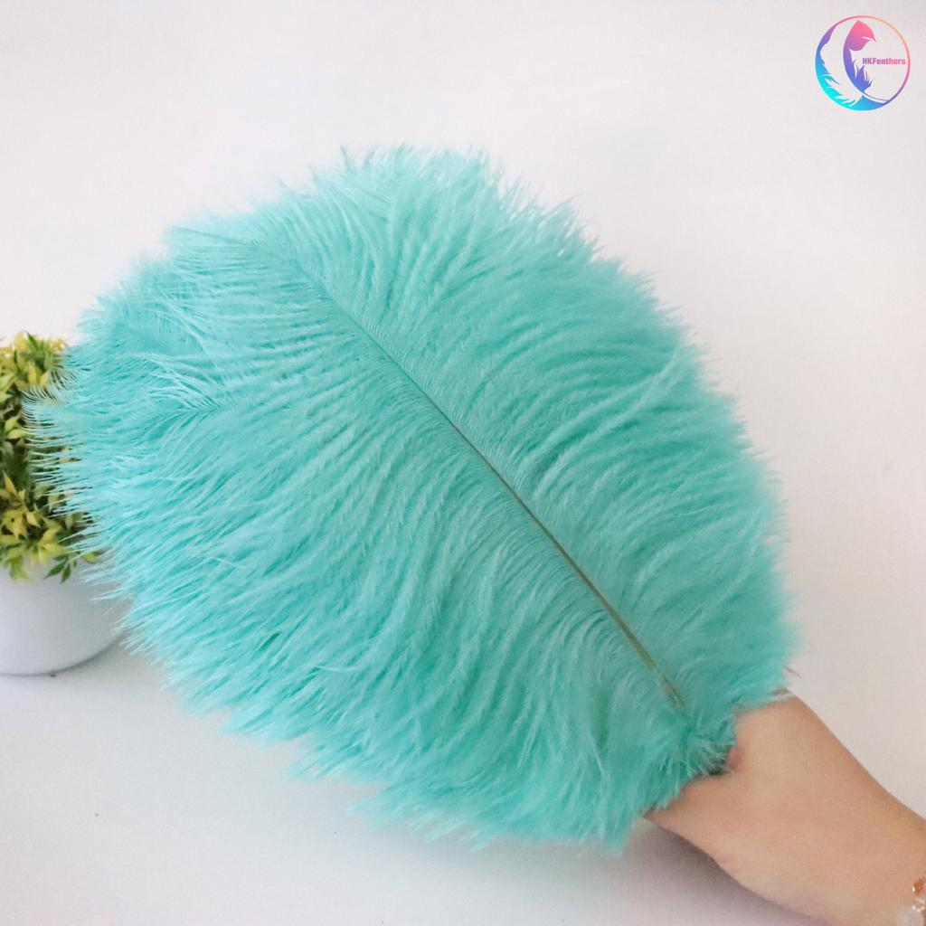 25-30Cm Colorful Ostrich Feathers, Wedding Table Flower Decoration, Wedding Decoration, Stage Performance Props Diy Jewelry