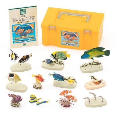 Farbiges Bilderbuch von Fischen, die in Korallenriffen leben 12 Arten Erklärung Realistische Figur Geburtstagsgeschenk Geschenk Lebensmittel- und Hygienevorschrift Fischspielzeug Figur