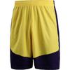 Under Armour Unisex Running Training Shorts