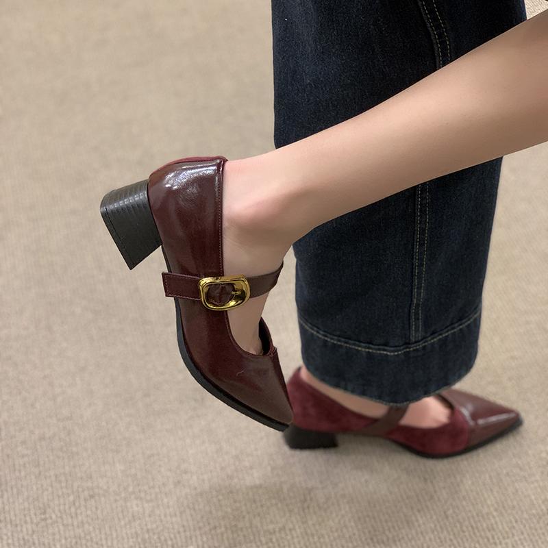 Pointed Toe Mary Jane Shoes Women's Spring New Vintage Versatile Block Heel One Strap Shoes