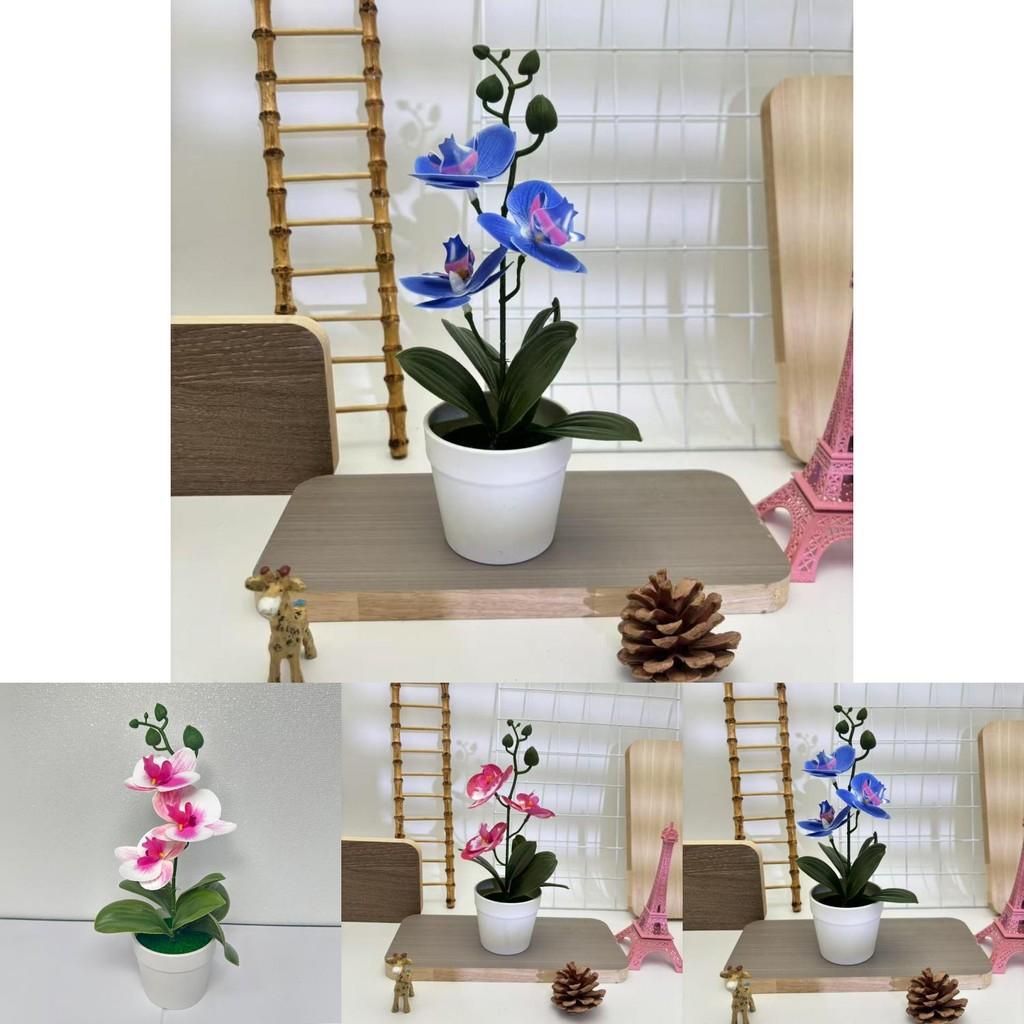 Butterfly Orchid Artificial Flower With Realistic Design For Home Decor And Photography Use