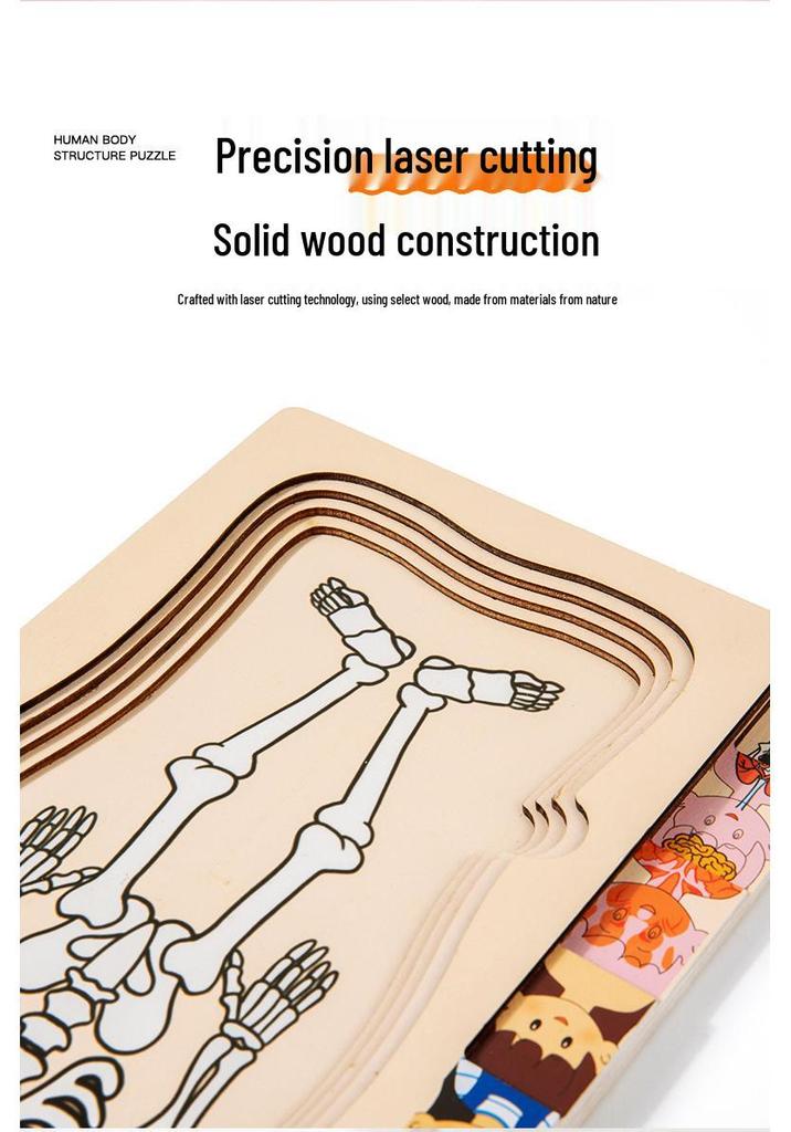 Early Childhood Educational Wooden Puzzle: Multi-layer Body, Brain & Organ Development Toy