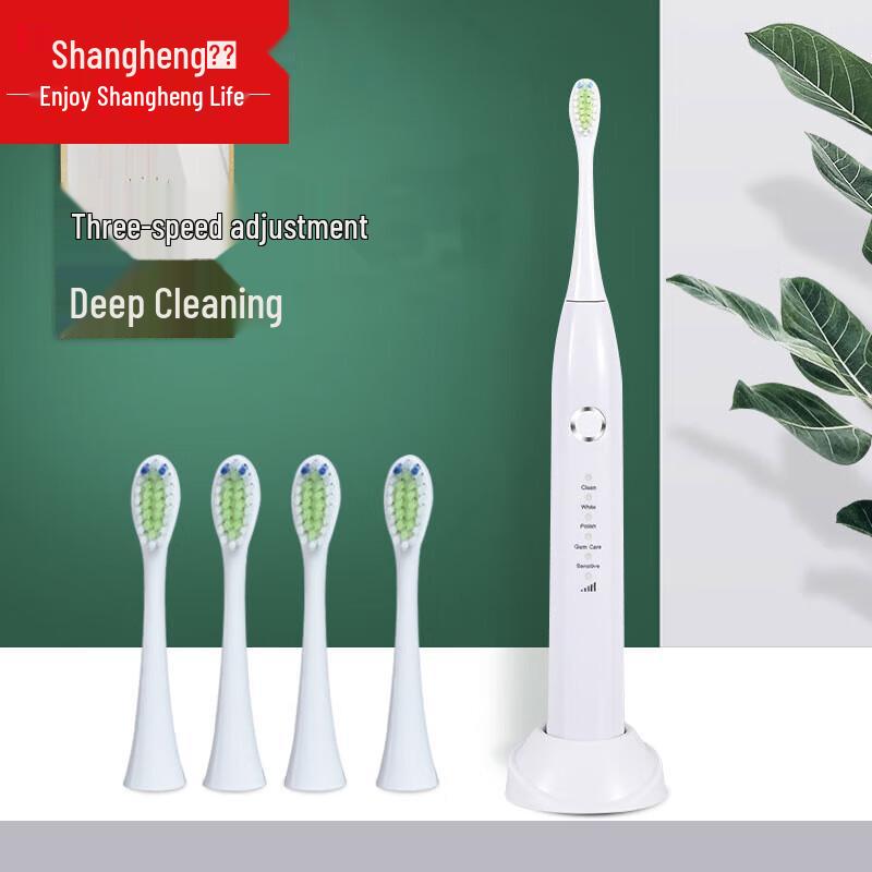 

Shangheng SHZH-039 Sonic Electric Toothbrush