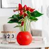 Self Watering Pot for Indoor Plants Plastic Wicking Flower Pot with Inner Pot Modern Decorative Planter for Herbs Flowers House Plants