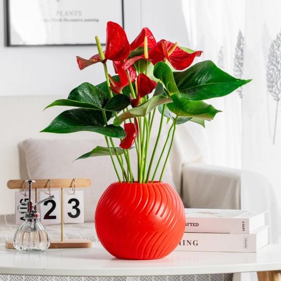 Self Watering Pot for Indoor Plants Plastic Wicking Flower Pot with Inner Pot Modern Decorative Planter for Herbs Flowers House Plants