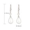 Fashion Water Drop Zircon Zircon Dangle Earrings for Women Bridesmaid Wedding Zircon